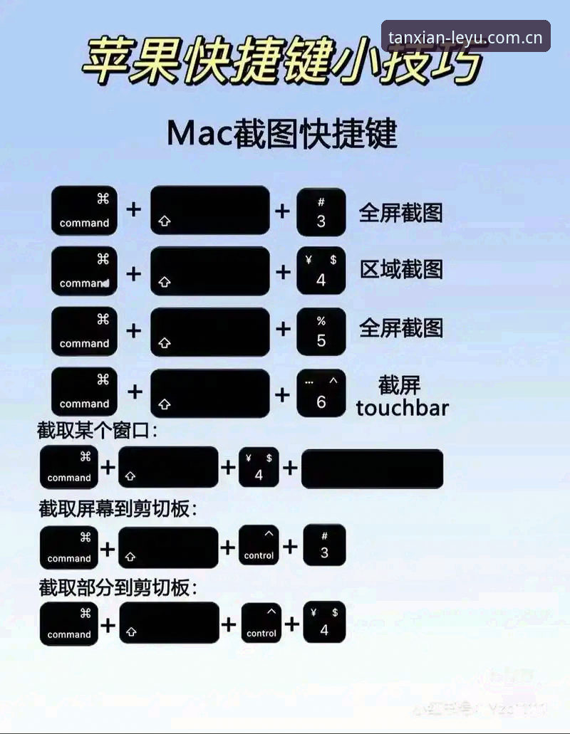 GMNG软件操作教程：从下载到实战，三步搞定你的观赛效率